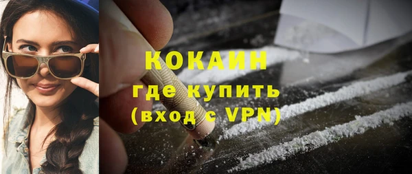 шишки Иннополис