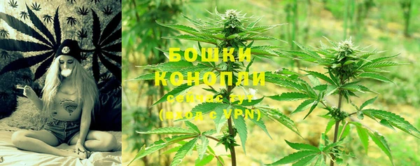 apvp Кодинск