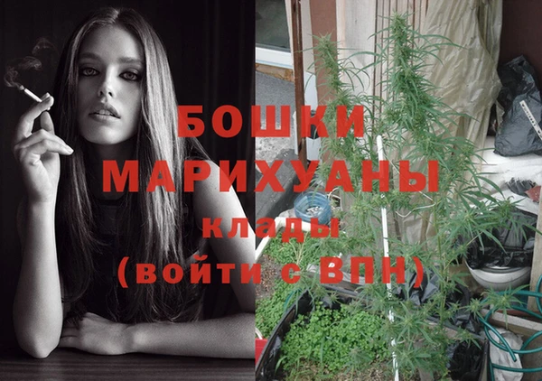 шишки Иннополис