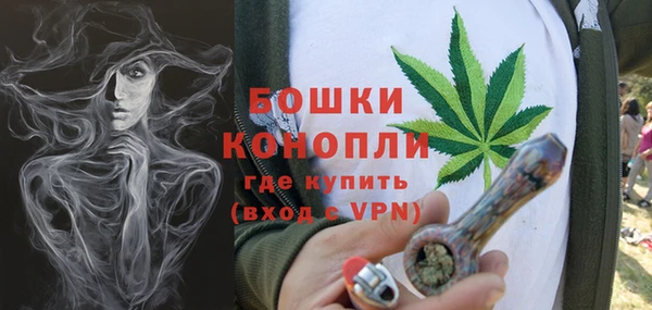 шишки Иннополис