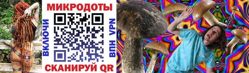 Галлюциногенные грибы MAGIC MUSHROOMS  Купить где  Донецк 